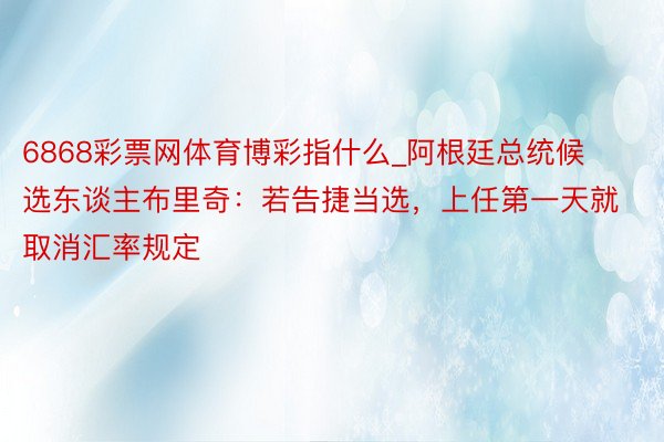 6868彩票网体育博彩指什么_阿根廷总统候选东谈主布里奇：若告捷当选，上任第一天就取消汇率规定