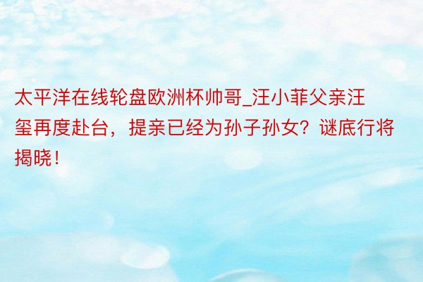 太平洋在线轮盘欧洲杯帅哥_汪小菲父亲汪玺再度赴台，提亲已经为孙子孙女？谜底行将揭晓！