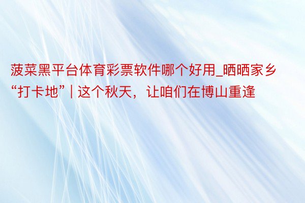 菠菜黑平台体育彩票软件哪个好用_晒晒家乡“打卡地” | 这个秋天,让咱们在博山重逢